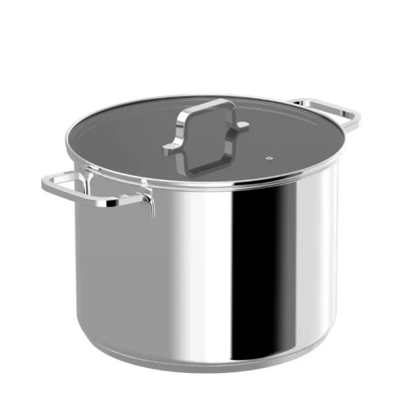 حلة بغطاء هيليكس 26×19 سم