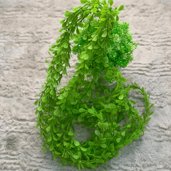 نبات الكارما الصناعى 2ق