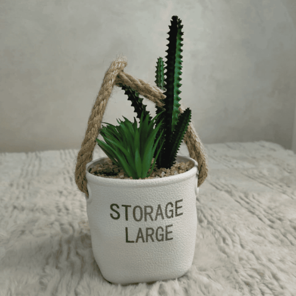 بوت زرع صبار للديكور