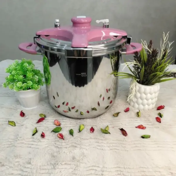 حلة ضغط استانلس ستيل 12لتر -NETLON